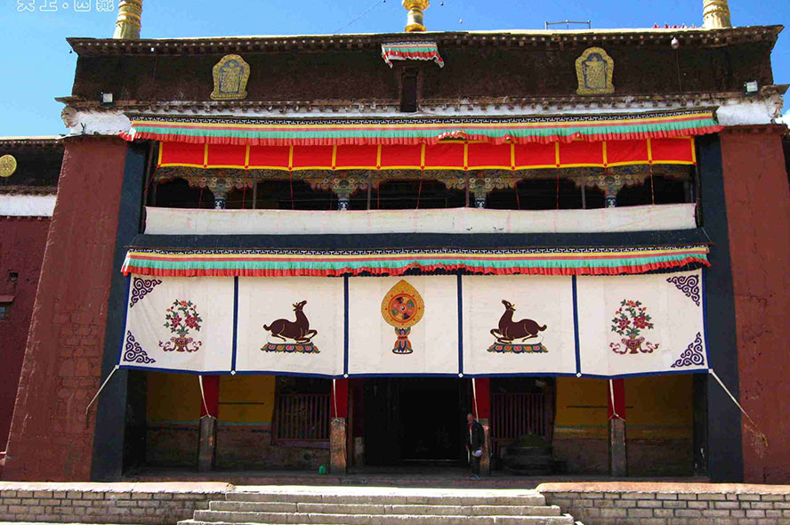 西藏——动物的天堂