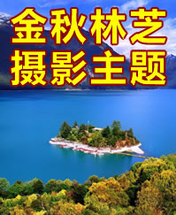 ����������֥��Ӱ