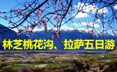 ����½·�����Ჴ��ȫ���������������