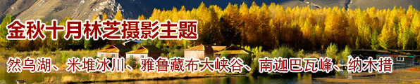 ʮ����֥(Ȼ�ں� �����)���տ�����ľ����Ӱ
