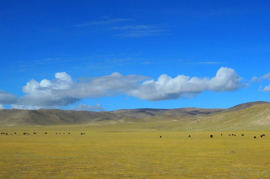 西藏的美景你永远都看不完！
