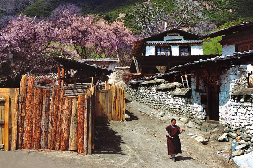 壮美的青藏铁路-西藏旅游预订门户网站