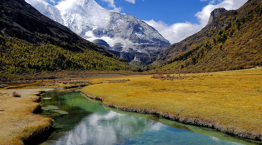 美丽的尼洋河-西藏旅游预订门户网站