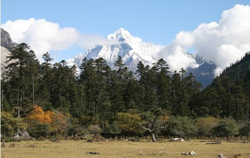 雅鲁藏布大峡谷文化旅游节图片