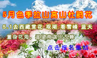 2012年51去西藏旅游赏杜鹃花