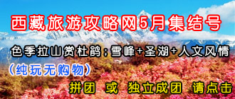 5月51节去西藏旅游看杜鹃花