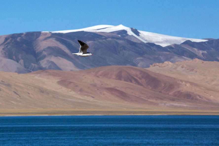 2016年冬季西藏旅游线路推荐