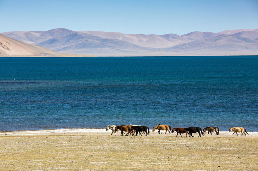 去西藏旅行的最佳月份？