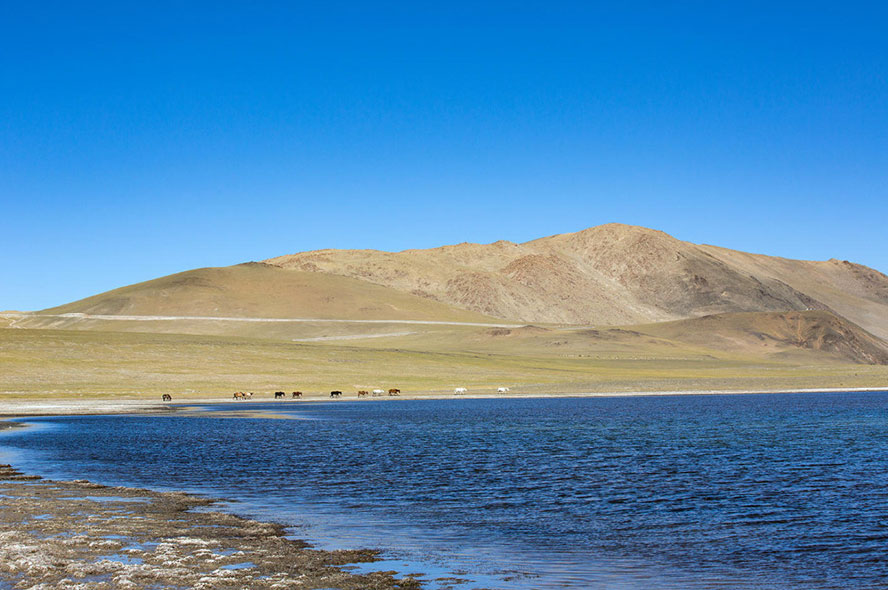 飞越西藏圣地，深度体验之旅--林芝行